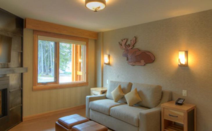Moose Hotel & Suites in Banff , Canada image 7 